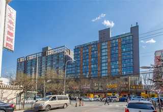 闵行区绿化土场地平整回填质量公司